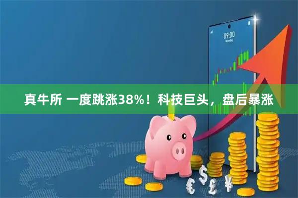 真牛所 一度跳涨38%！科技巨头，盘后暴涨